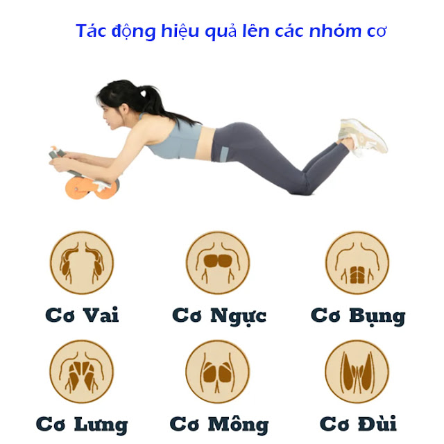 Con lăn tập bụng 2 bánh có trợ lực thế hệ mới Reefit Sport RF 47059